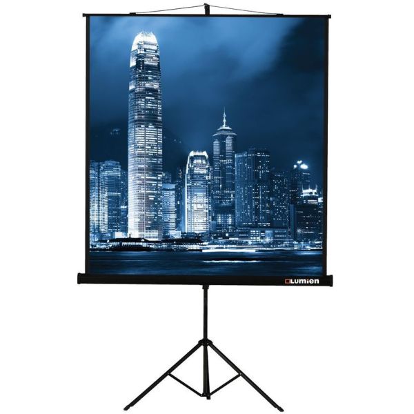 Экран для проектора Lumien Master View LMV-100107, 203х153 см, 4:3, напольный